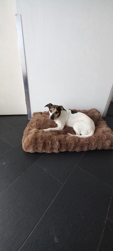 Bella
