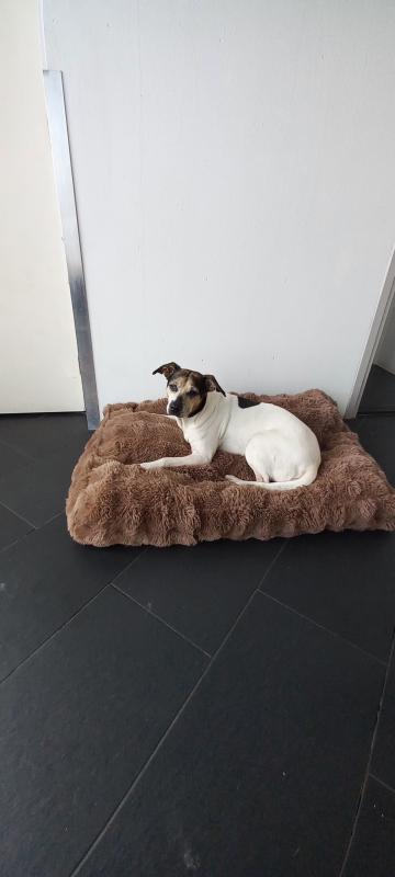 Bella