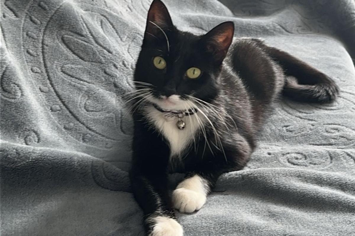 Zina