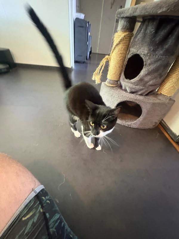 Milo
