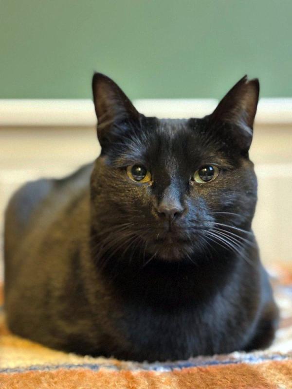 Soja