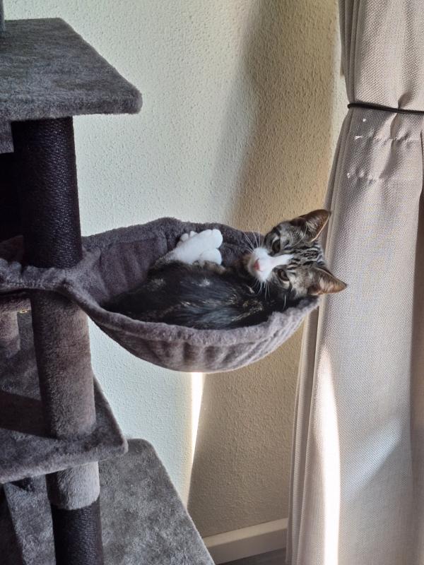 James