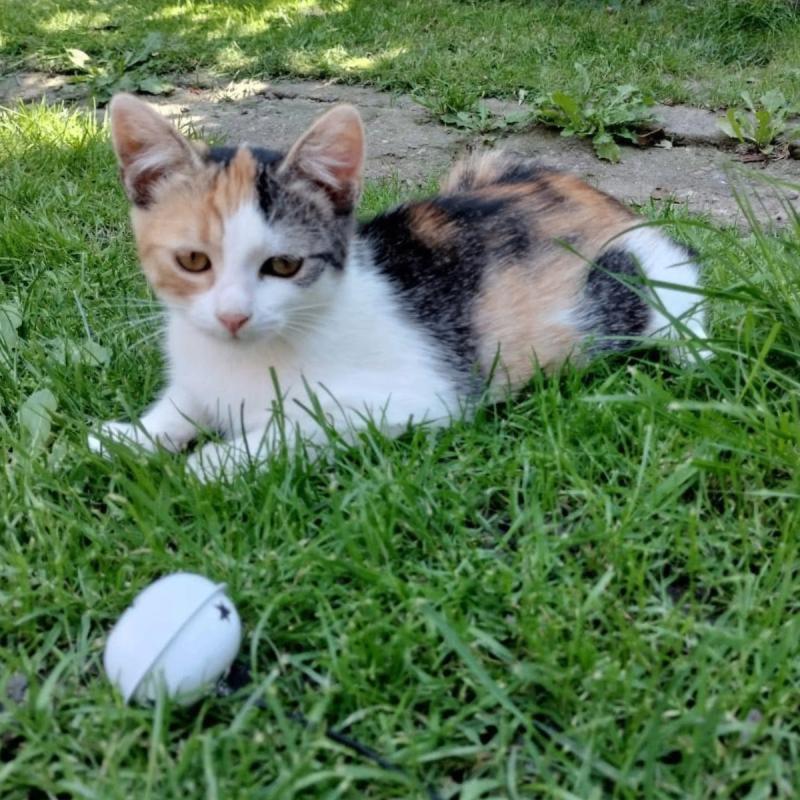 Luna