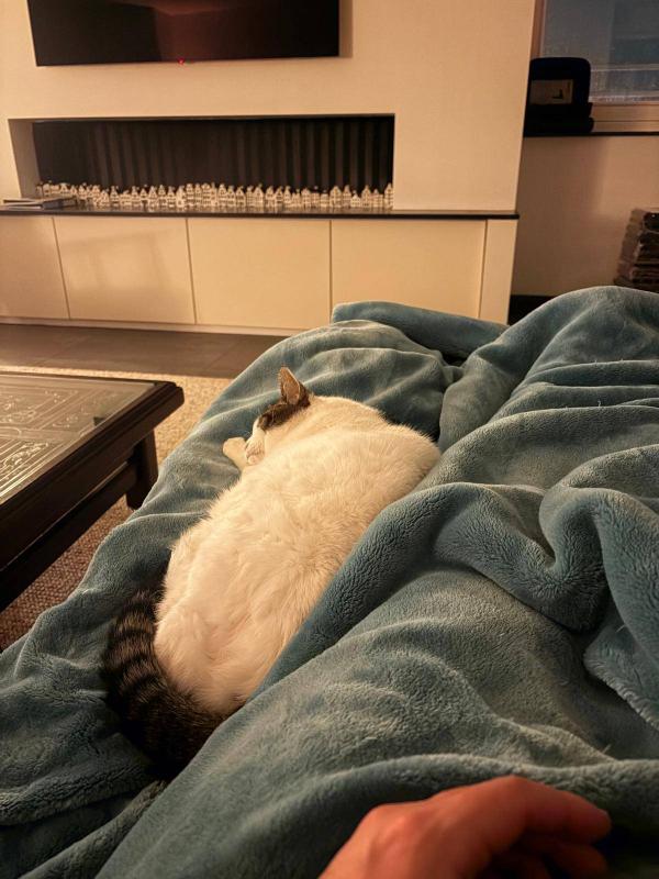 Snoetje