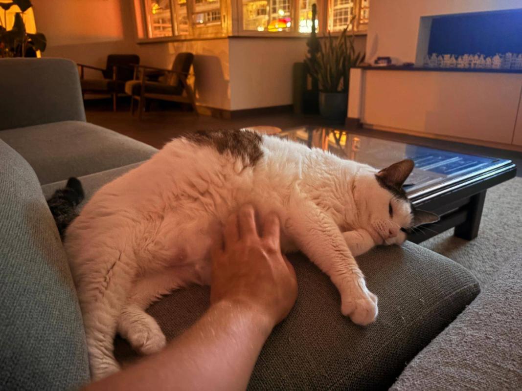 Snoetje
