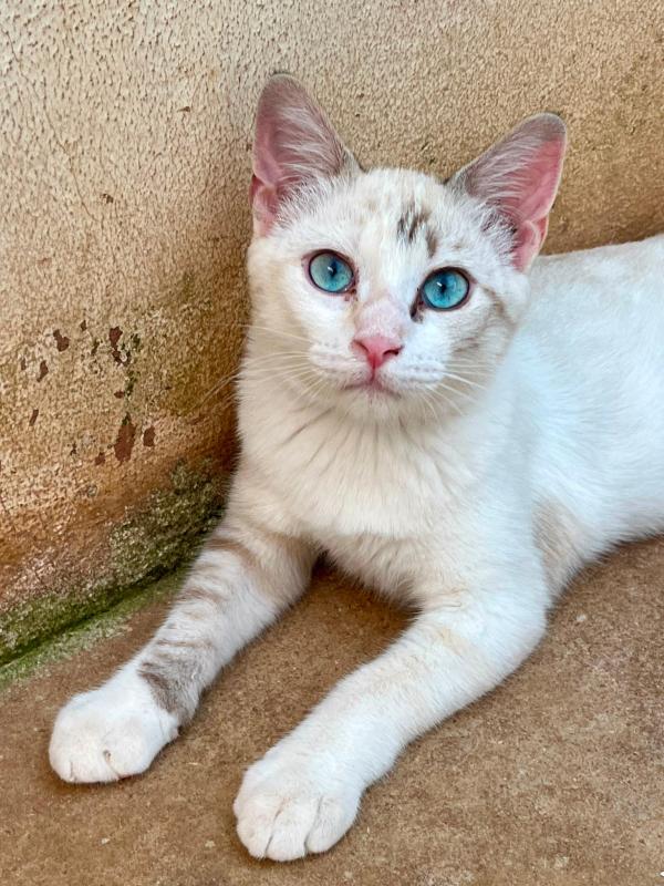 Yuki