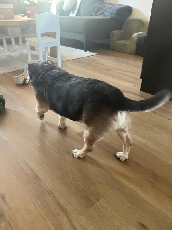 Dirk