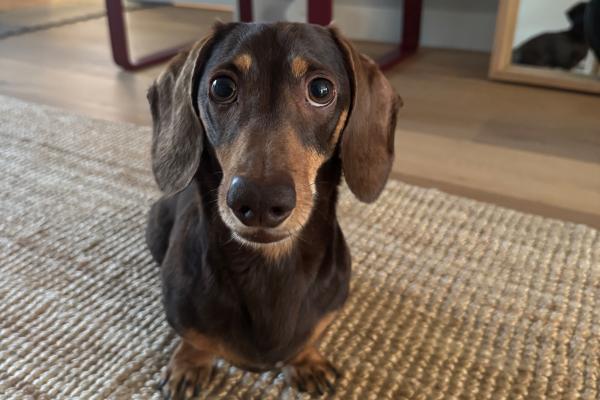 Otis