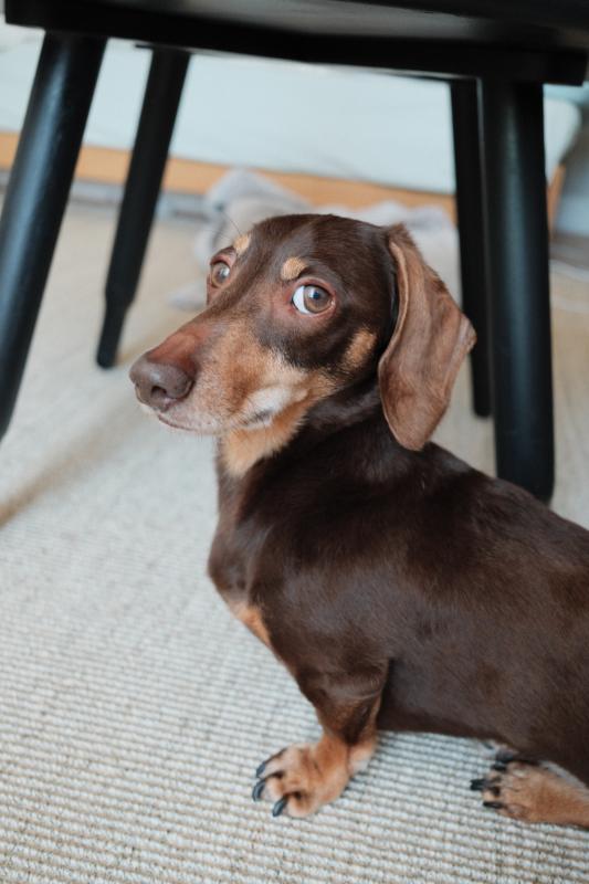 Otis