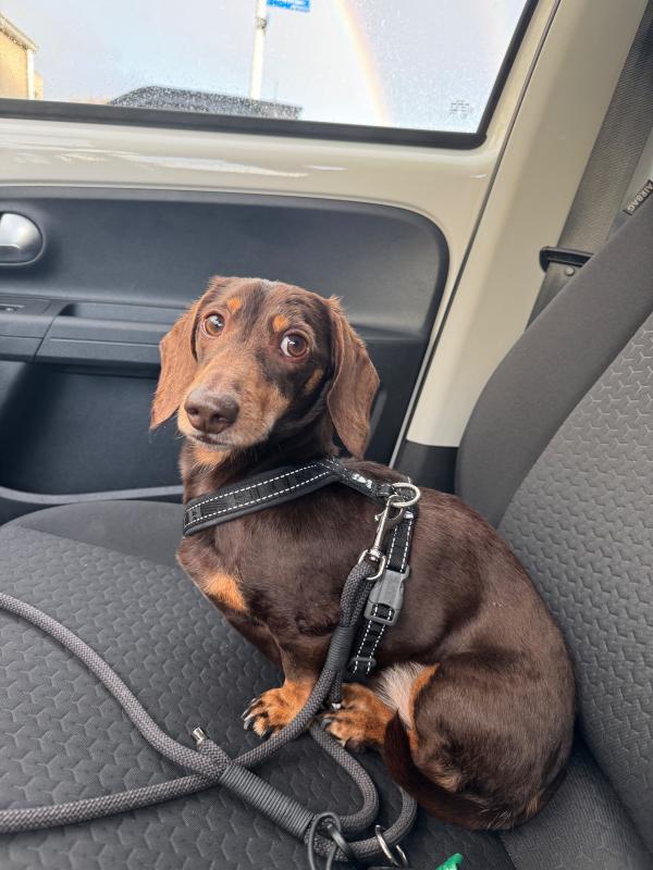 Otis