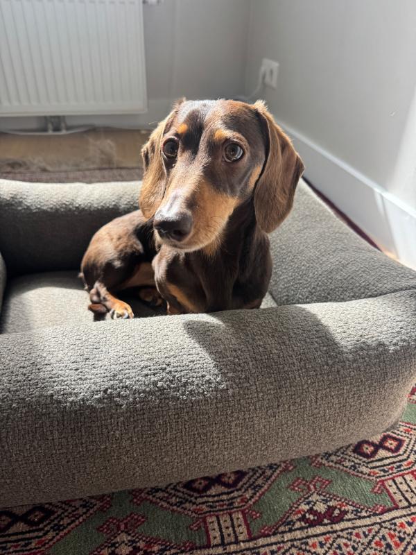 Otis