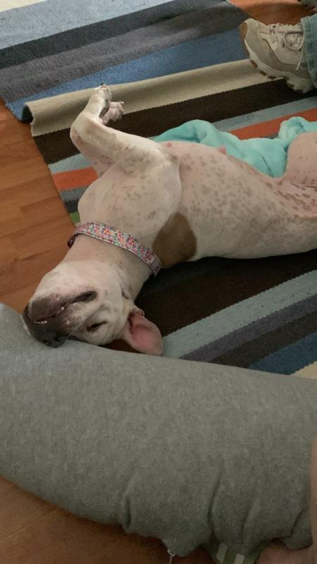 Bea