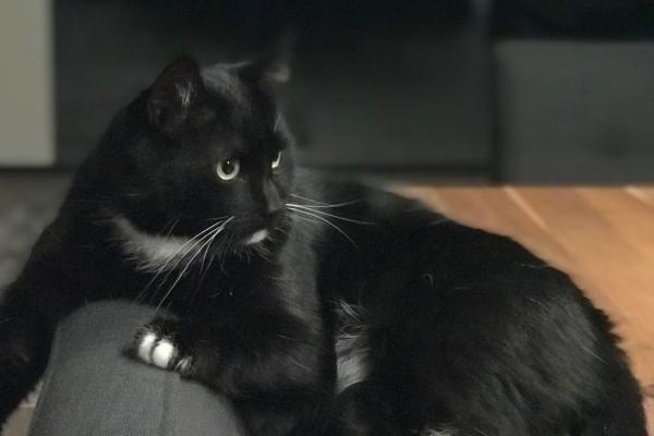 Klaas
