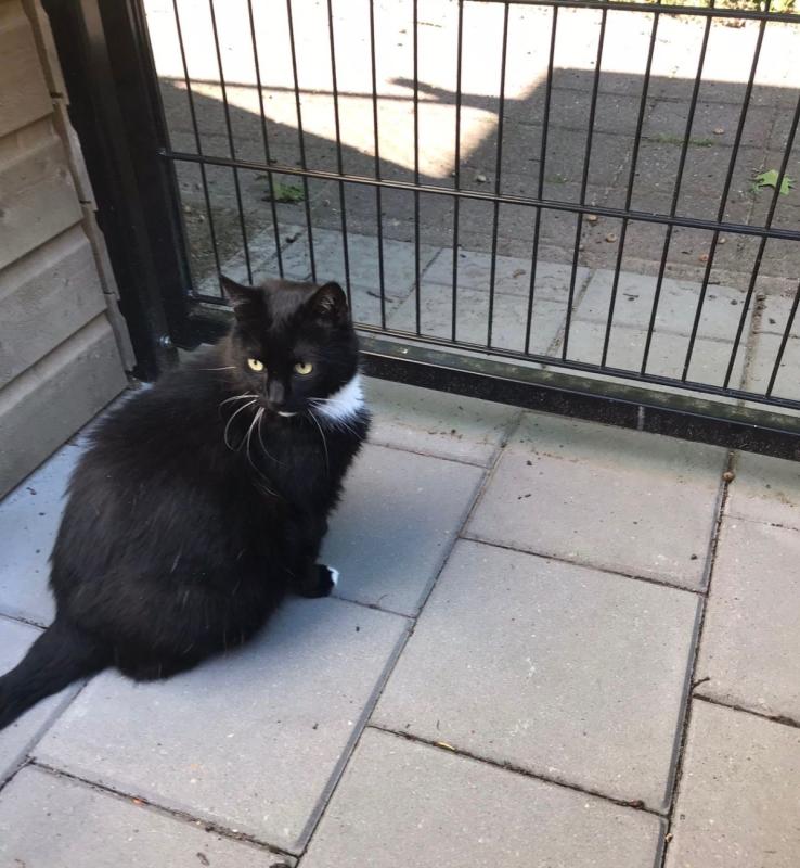 Klaas