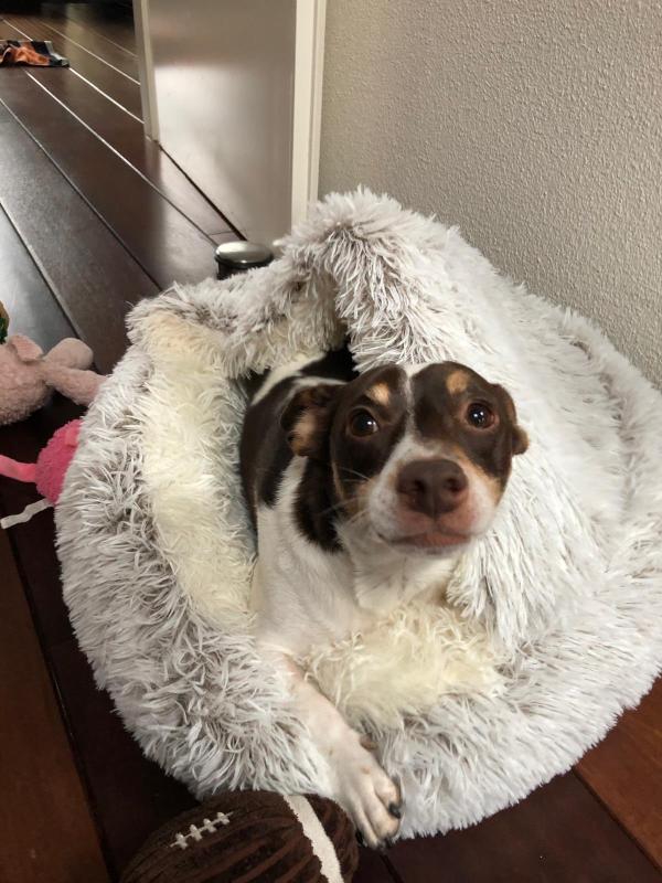 Charlie