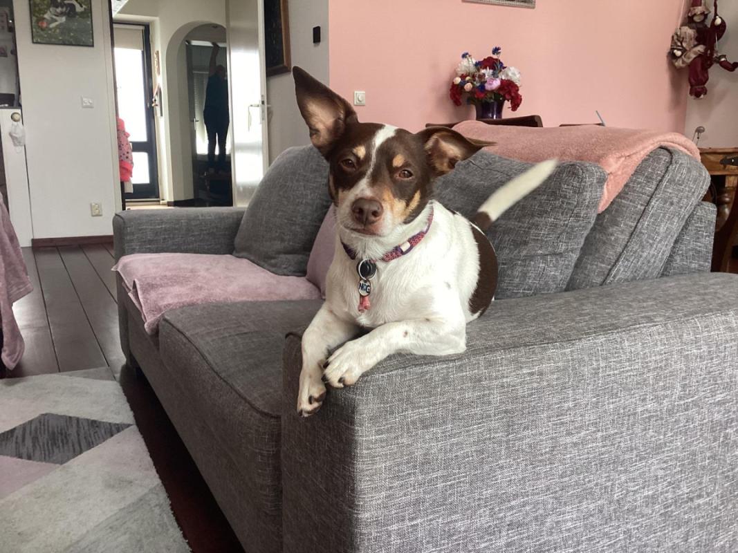 Charlie