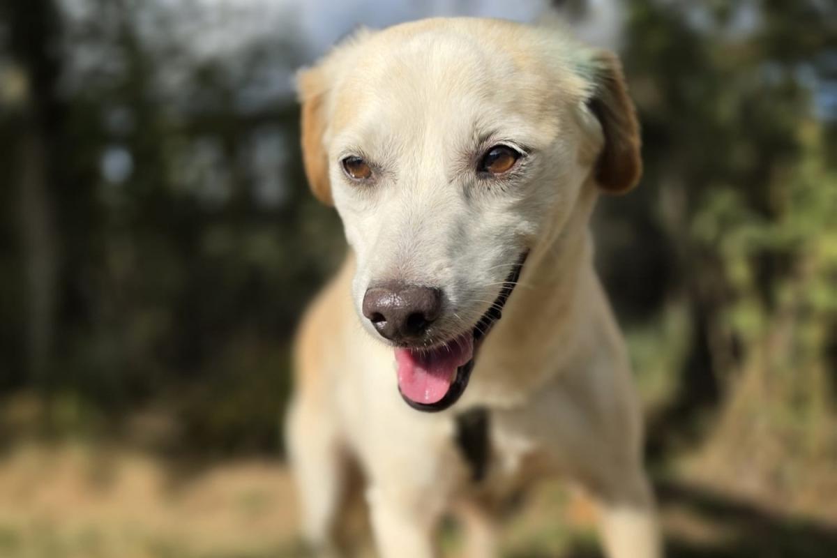 Alberto