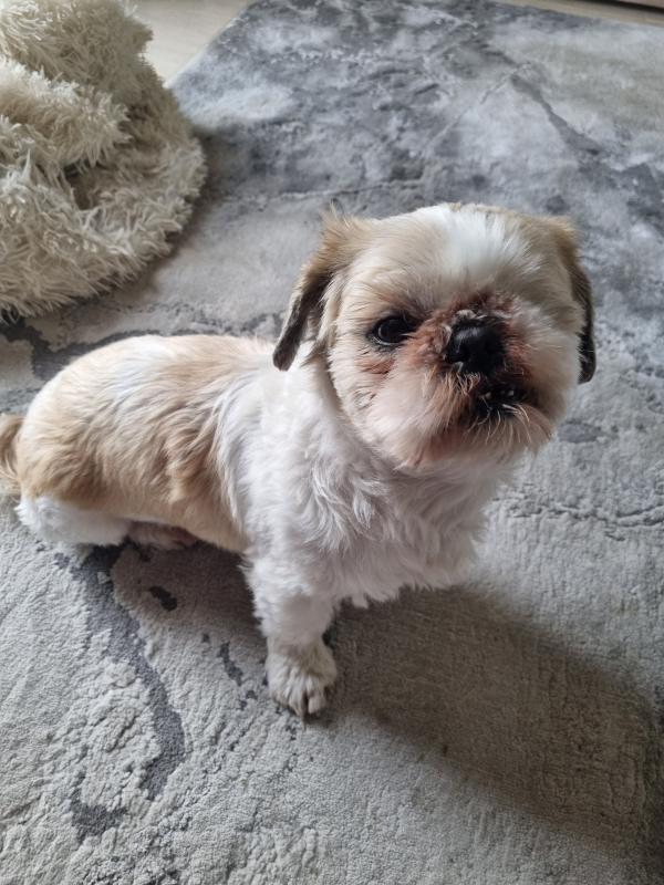 Charlie