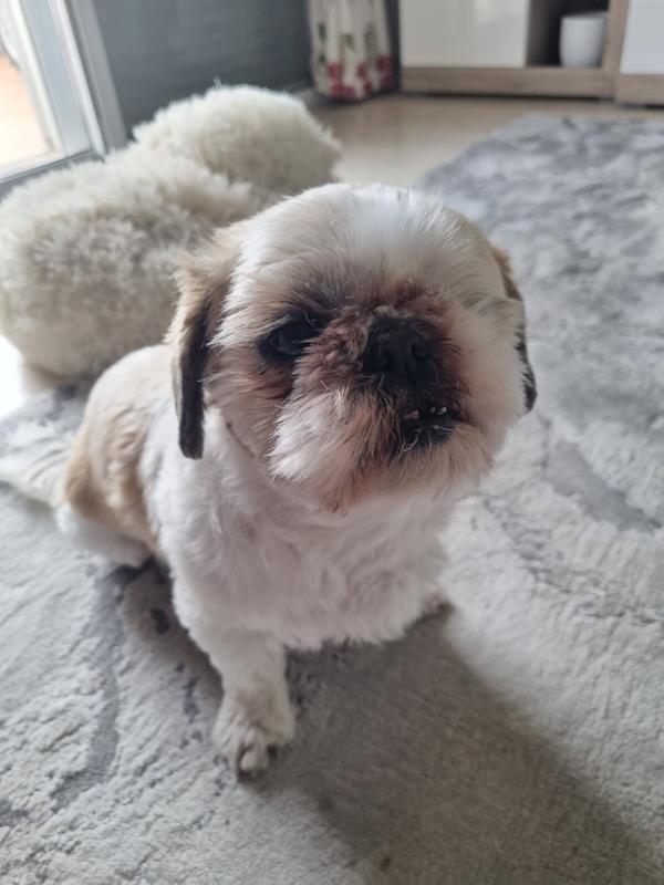 Charlie