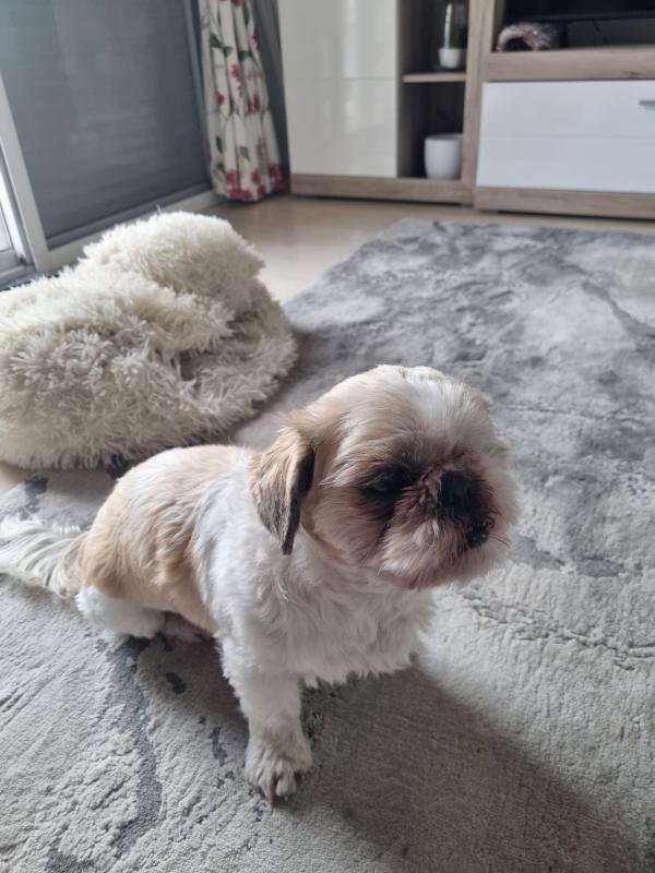 Charlie