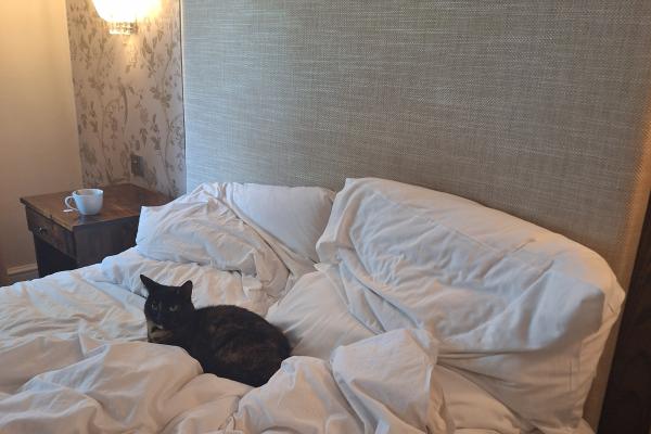 Onyx & Marbel