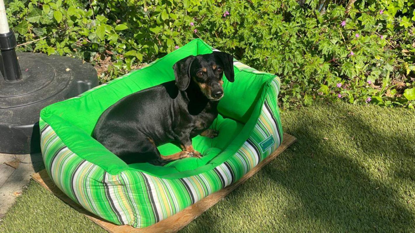 Milo