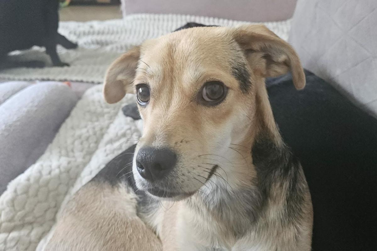 Suzie