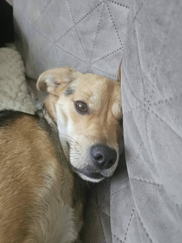 Suzie