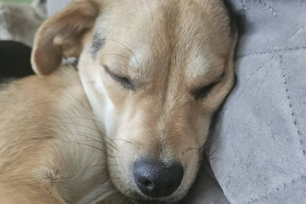 Suzie