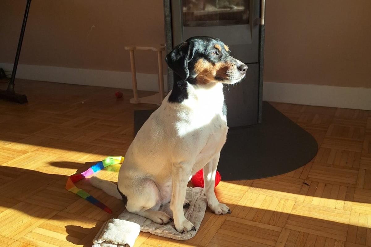 Max
