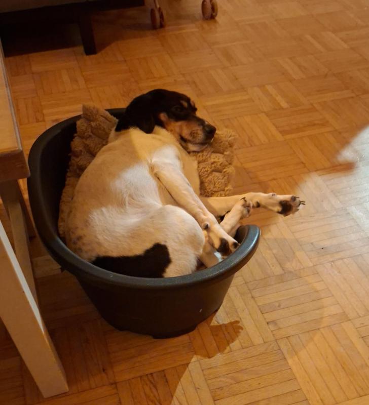 Max