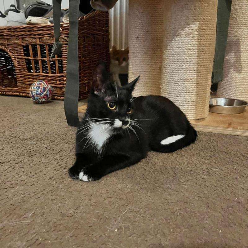 Pixel