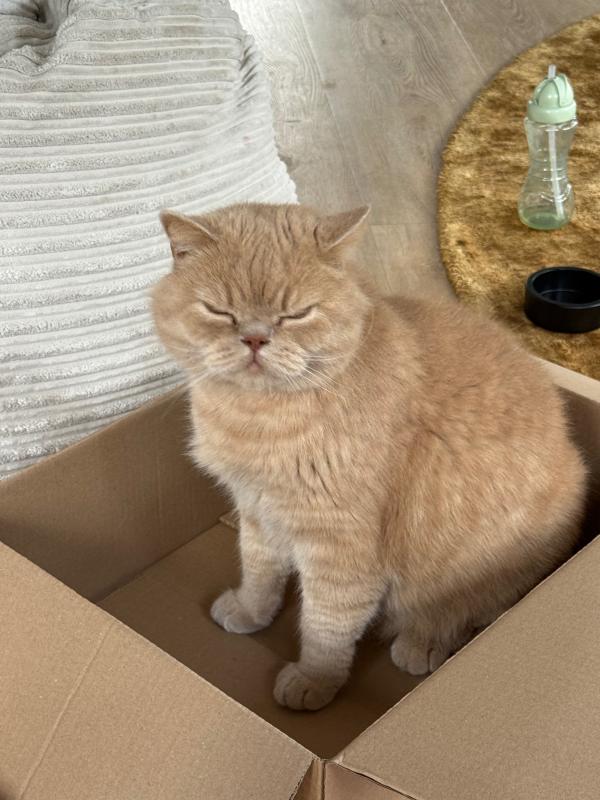 Max