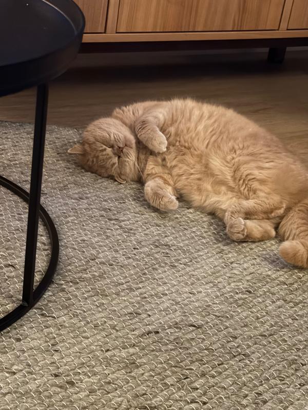 Max