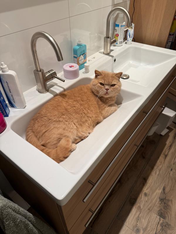 Max