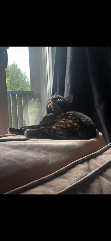 Yuki