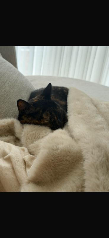 Yuki