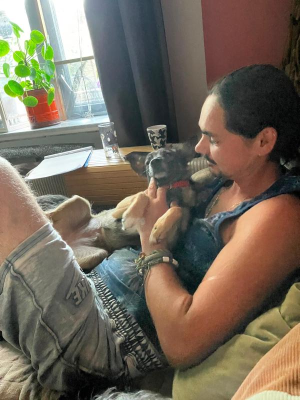 Minoes