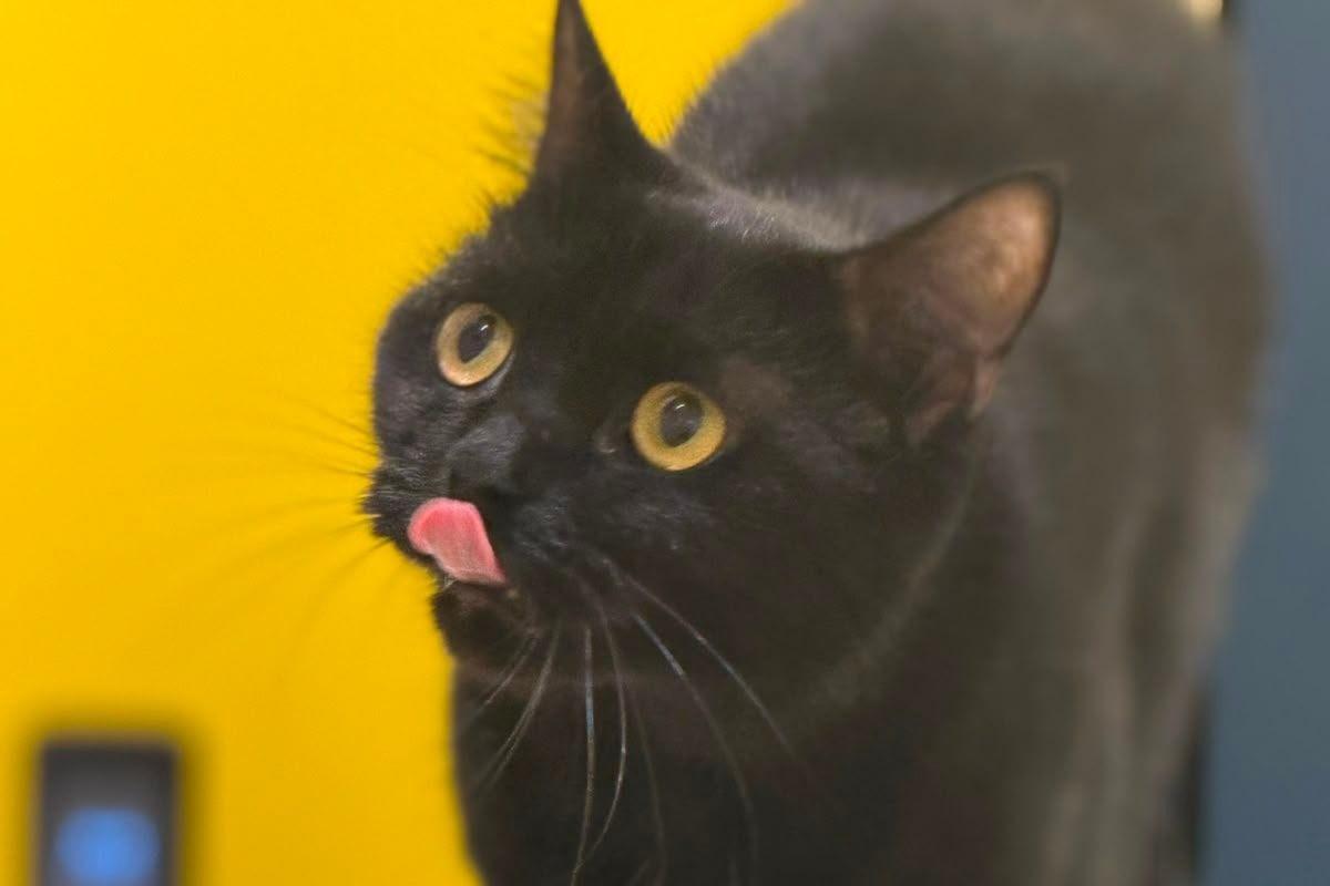 Binx