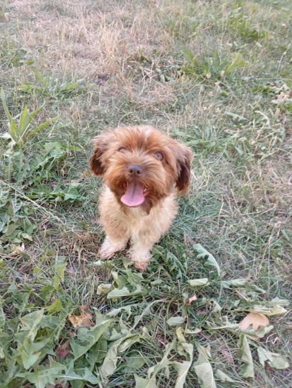Bella