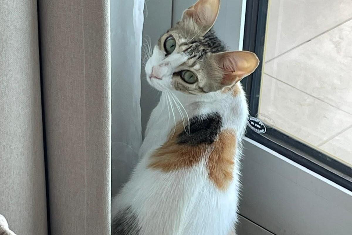 Helen