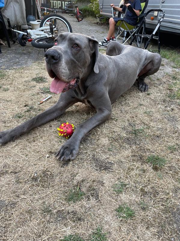 Ragnar