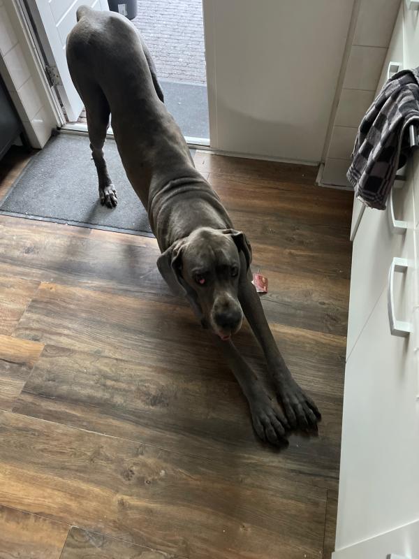 Ragnar