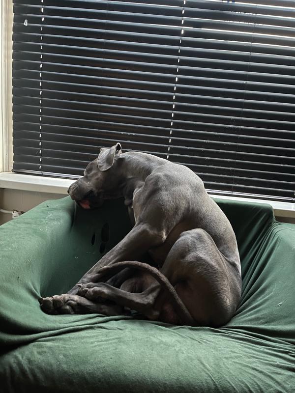 Ragnar