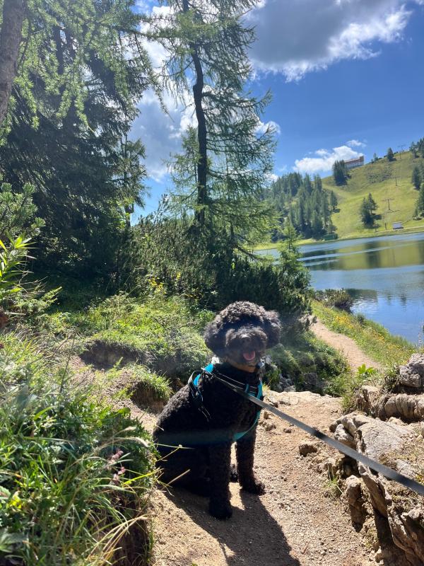 Max