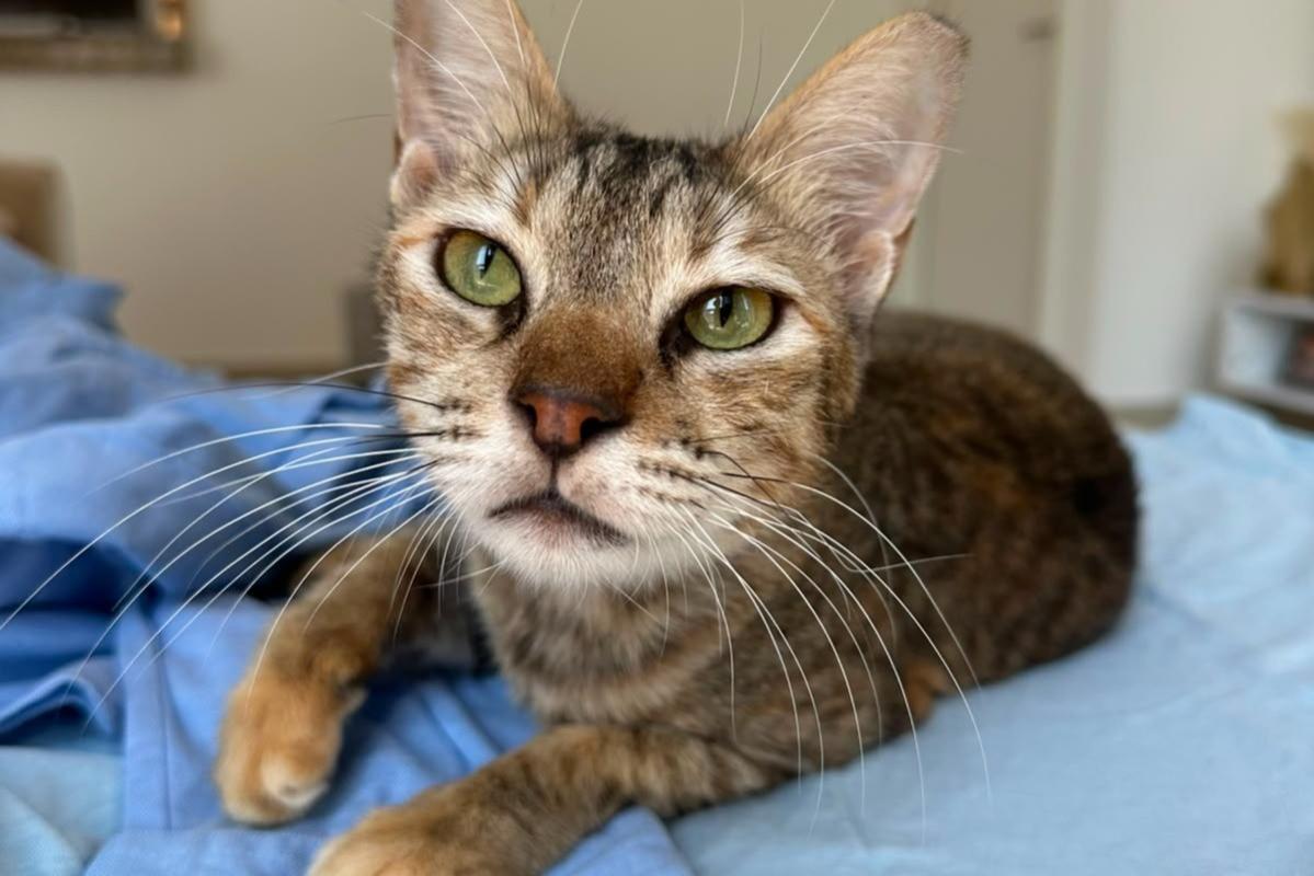 Mimi