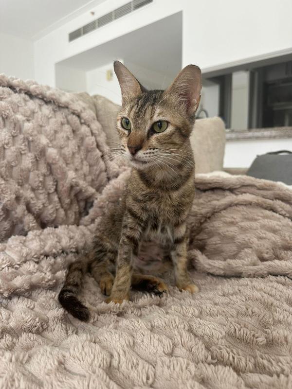 Mimi