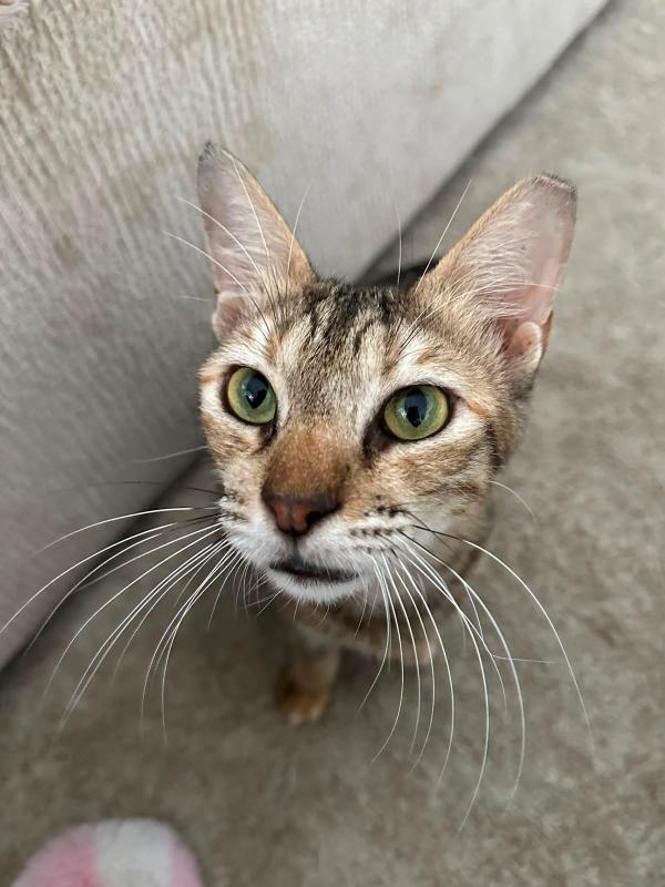 Mimi