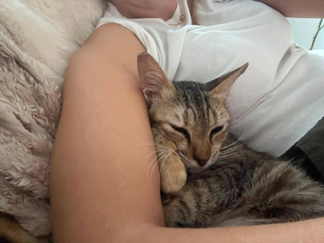 Mimi