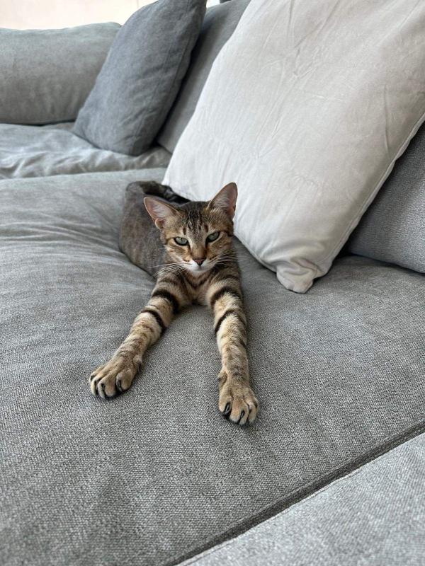 Mimi